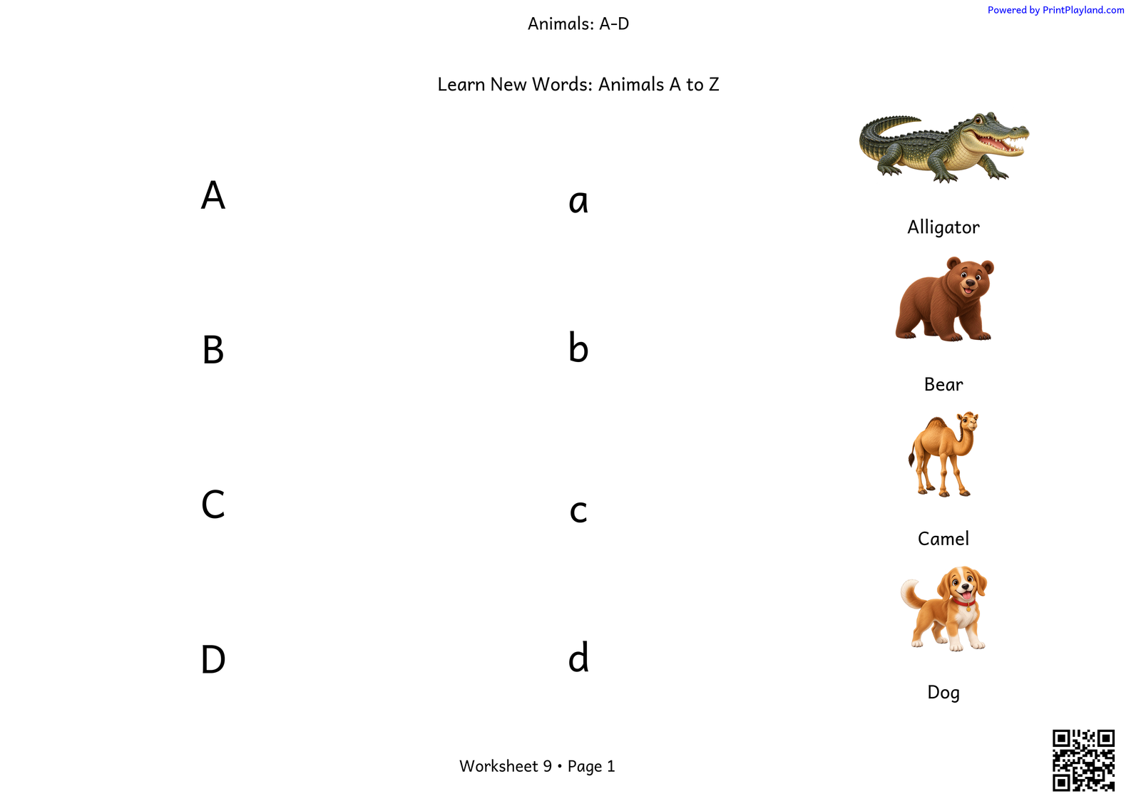 Learn New Words: Animals A to Z