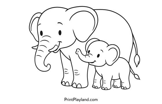 Baby Elephant With Mom